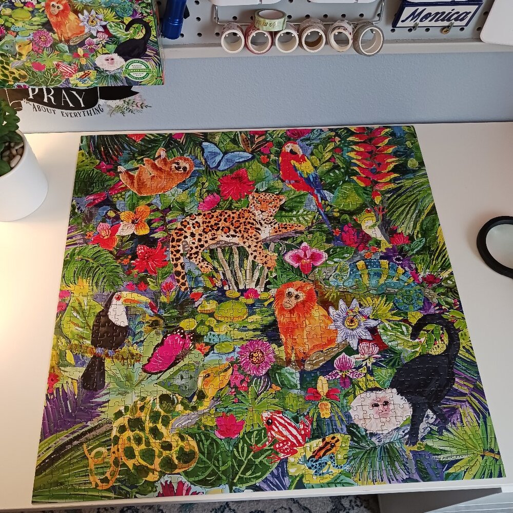 EEboo 1000 piece Puzzle Amazon Rainforest Colorful - Picture 9 of 11